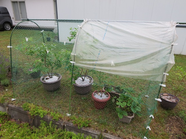 ファイル 76-4.jpg