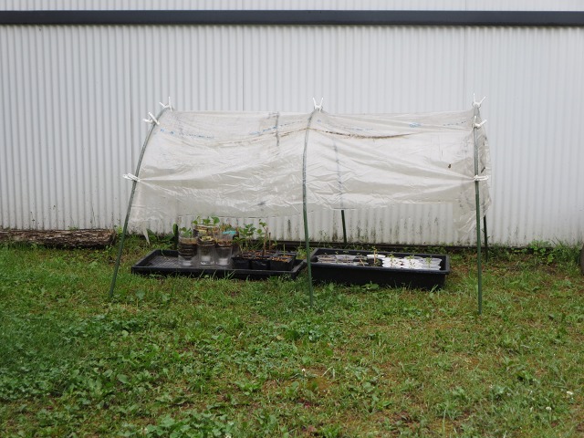 ファイル 76-5.jpg