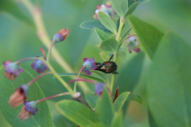 ファイル 77-6.jpg