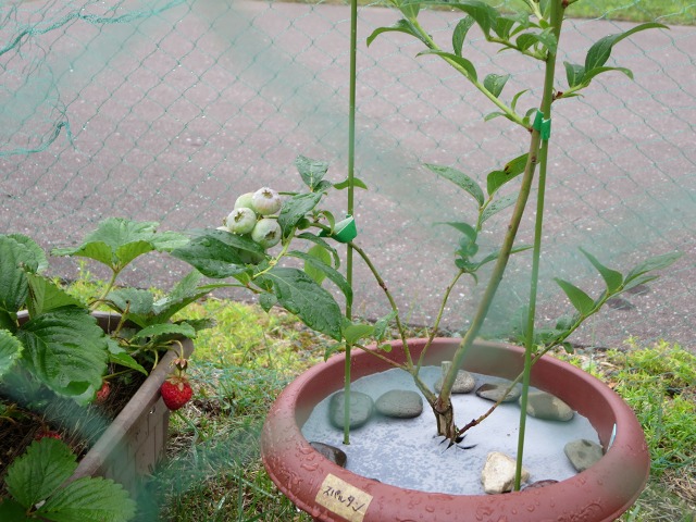 ファイル 77-7.jpg