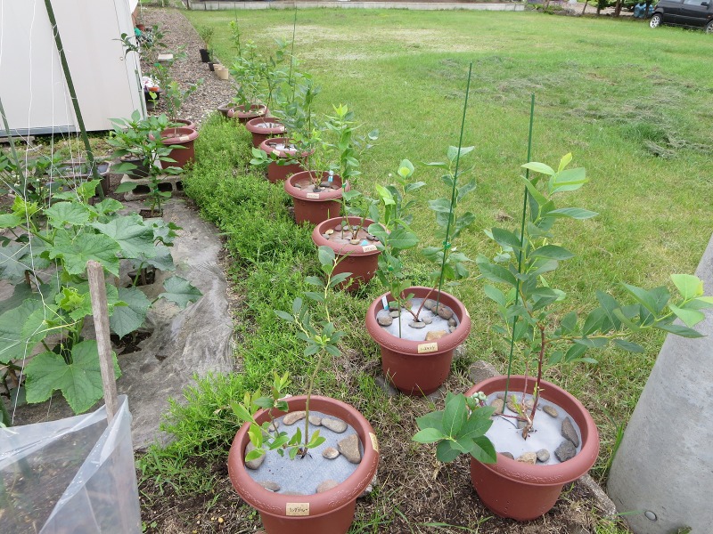 ファイル 77-8.jpg