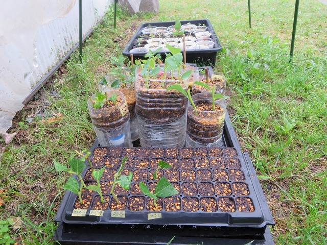 ファイル 77-9.jpg