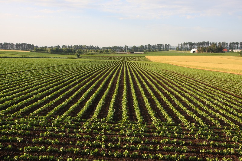 ファイル 78-2.jpg