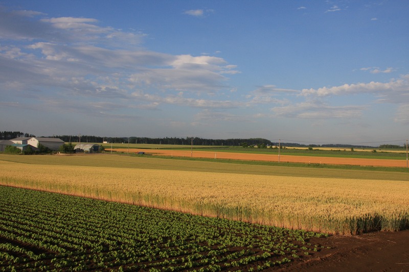 ファイル 78-3.jpg