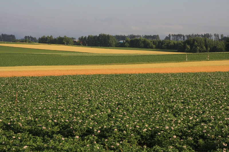 ファイル 78-4.jpg