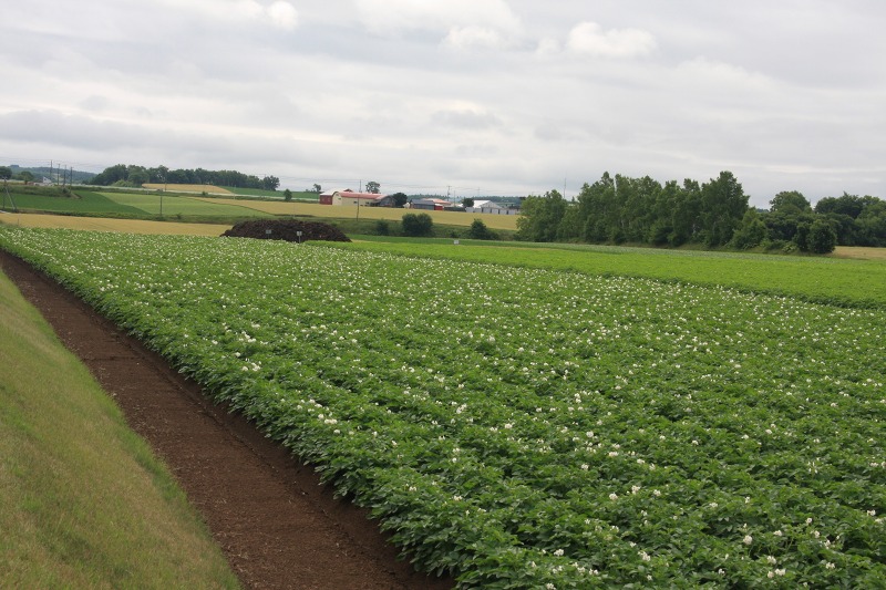 ファイル 78-6.jpg