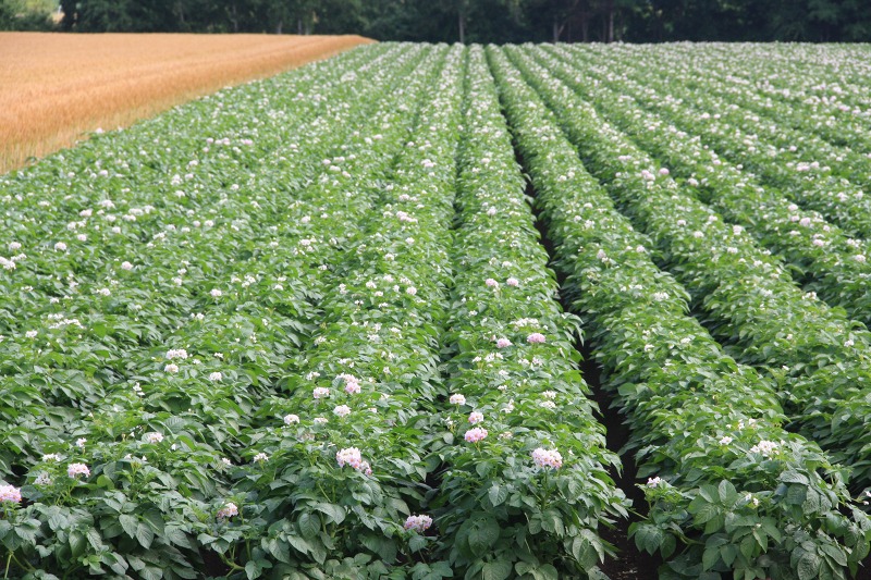 ファイル 78-7.jpg