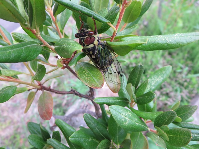 ファイル 78-8.jpg