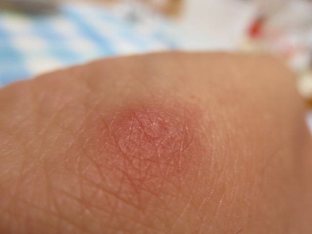 ファイル 79-2.jpg