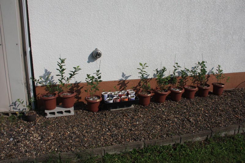 ファイル 80-1.jpg