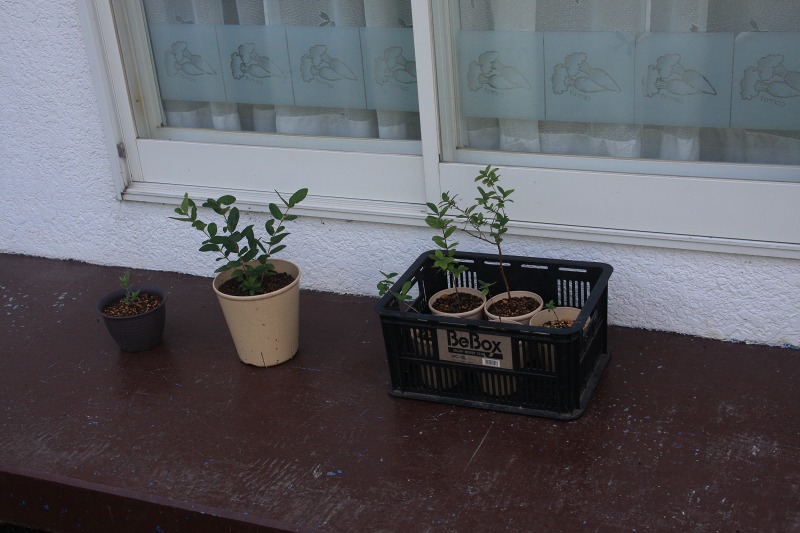 ファイル 80-2.jpg