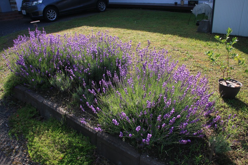 ファイル 80-3.jpg