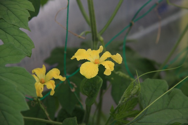 ファイル 81-2.jpg