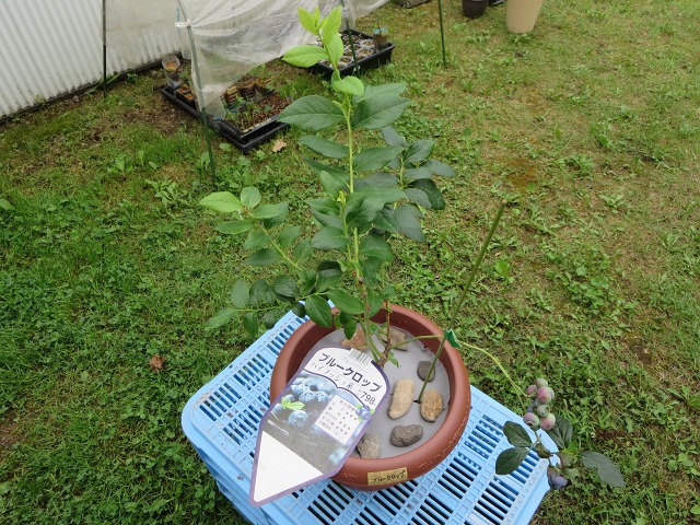 ファイル 82-3.jpg