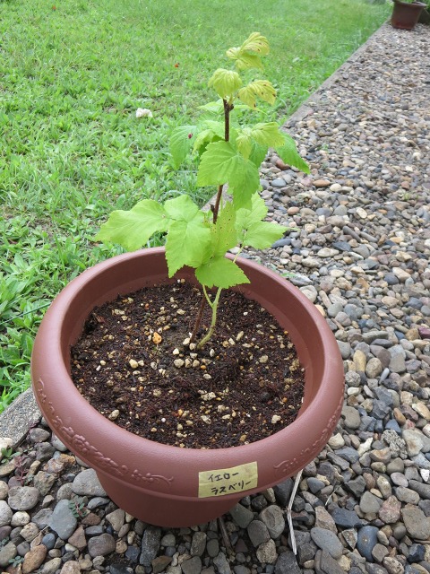 ファイル 82-4.jpg