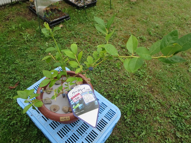 ファイル 82-6.jpg