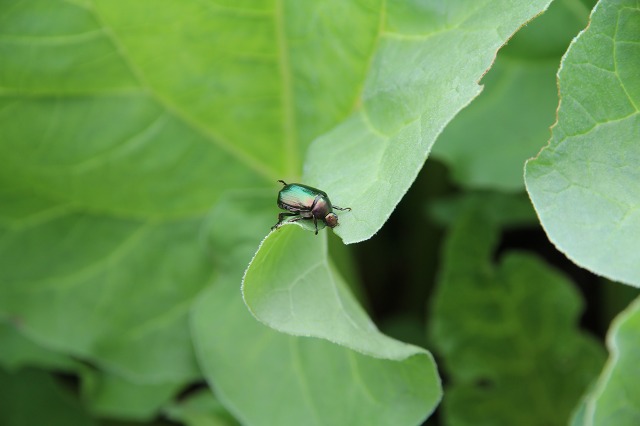 ファイル 82-8.jpg