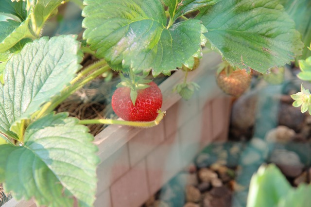 ファイル 84-4.jpg