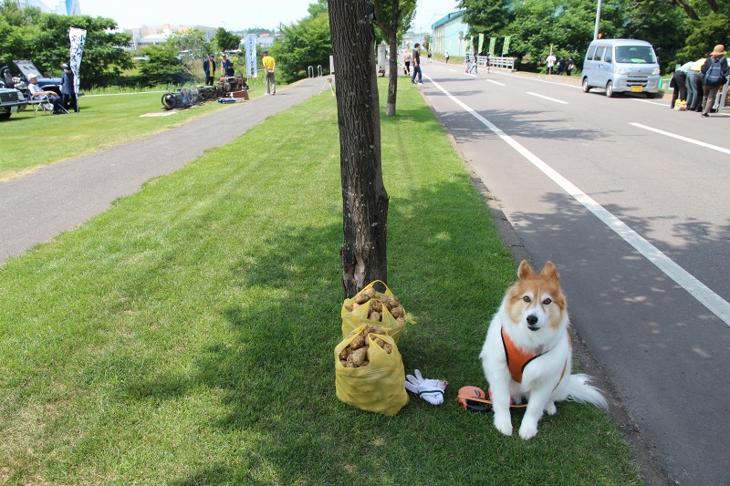 ファイル 86-2.jpg