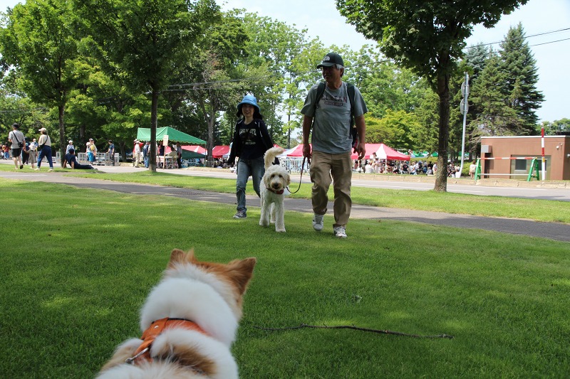 ファイル 86-6.jpg