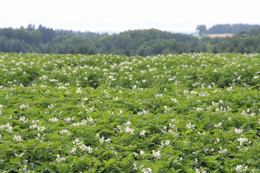 ファイル 87-2.jpg