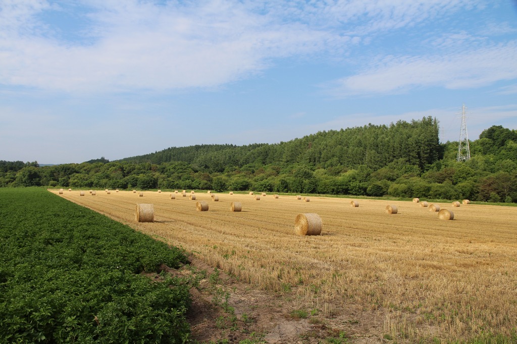 ファイル 87-3.jpg