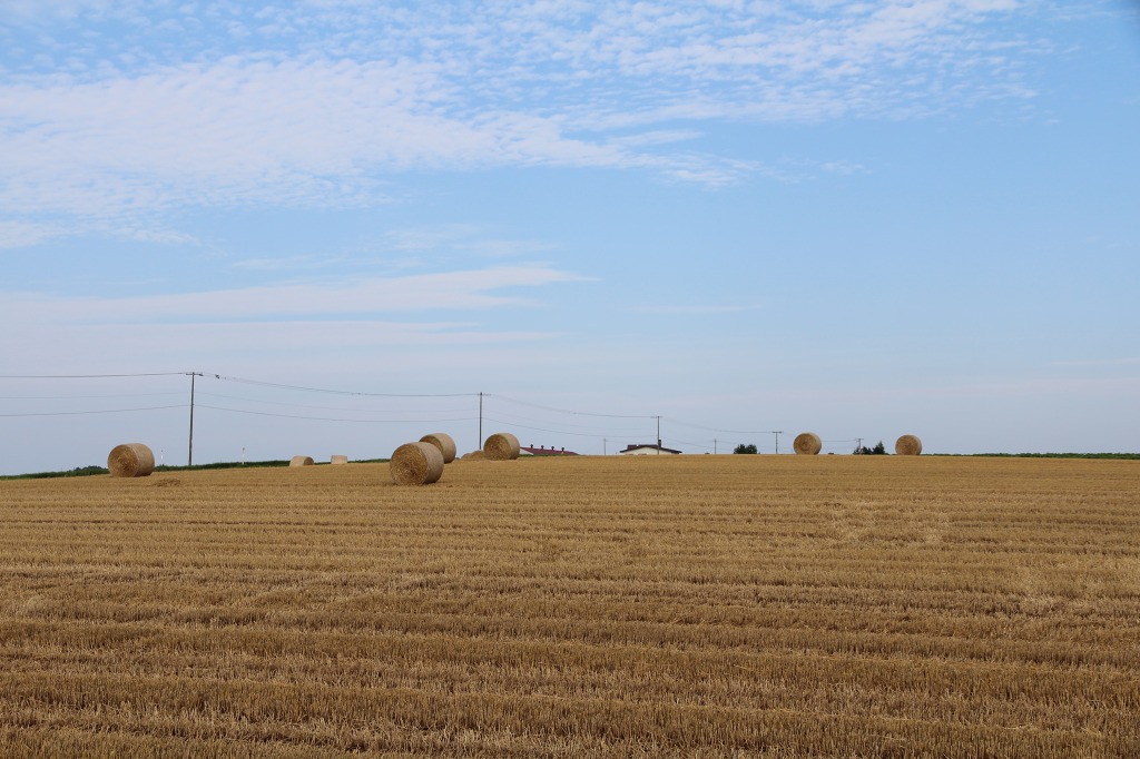 ファイル 87-4.jpg