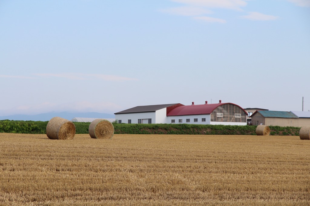 ファイル 87-5.jpg