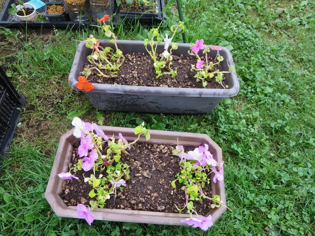 ファイル 87-6.jpg