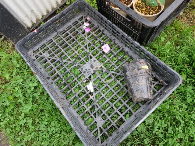 ファイル 87-7.jpg