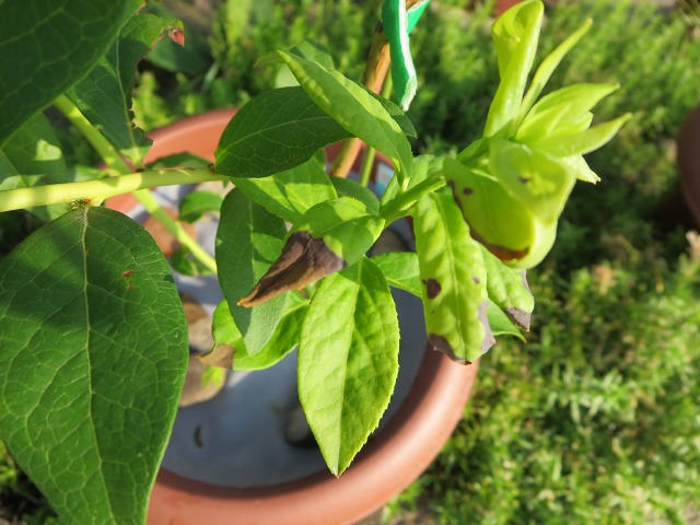 ファイル 88-4.jpg