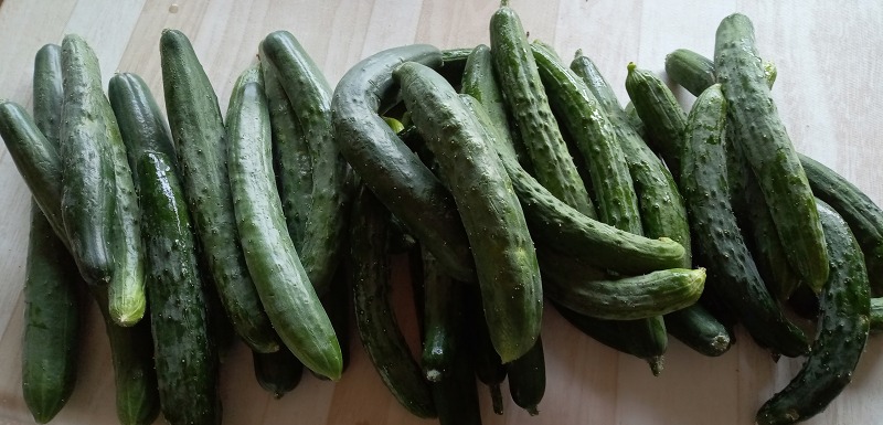 ファイル 89-6.jpg