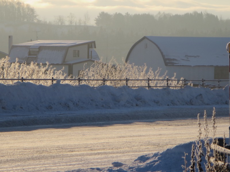 ファイル 9-1.jpg