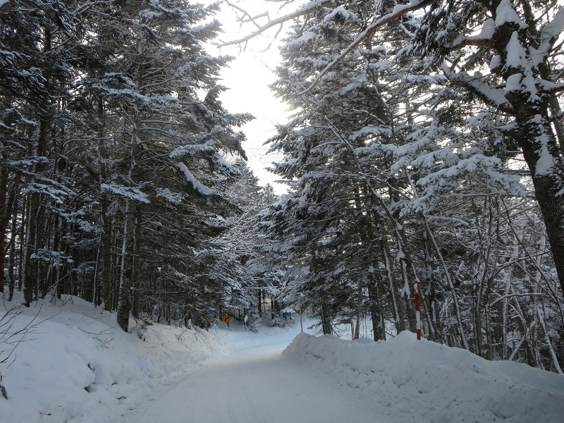 ファイル 9-6.jpg