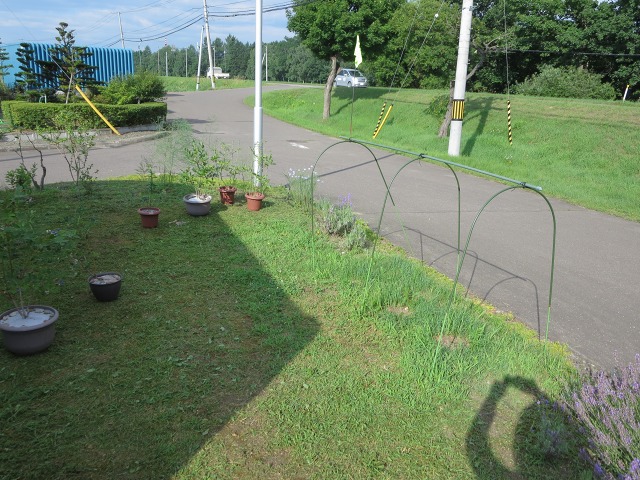 ファイル 90-3.jpg