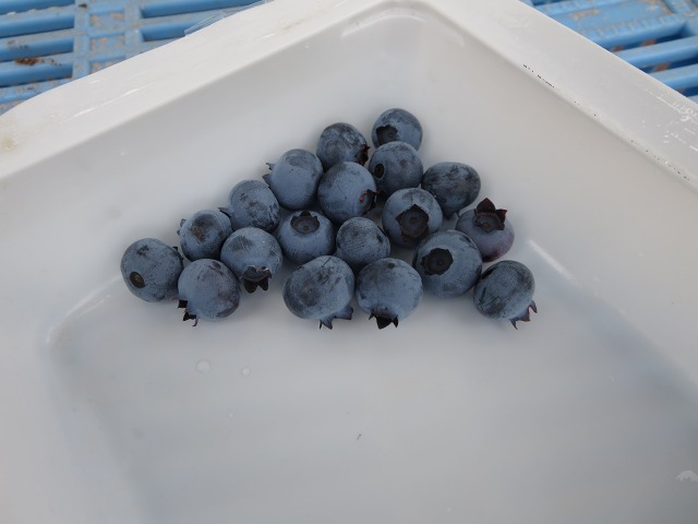 ファイル 90-4.jpg