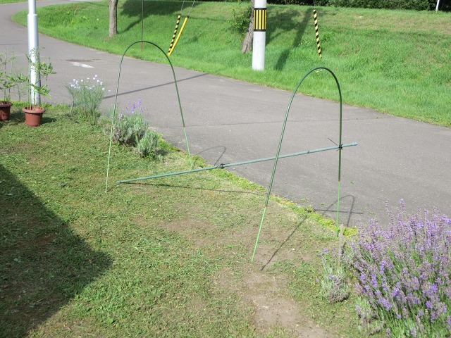 ファイル 90-5.jpg