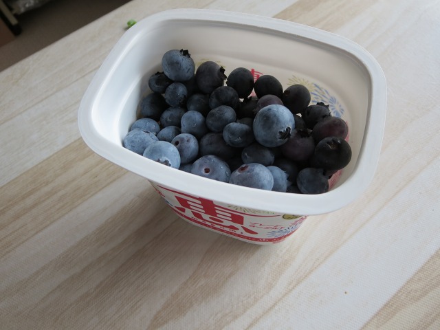 ファイル 90-6.jpg