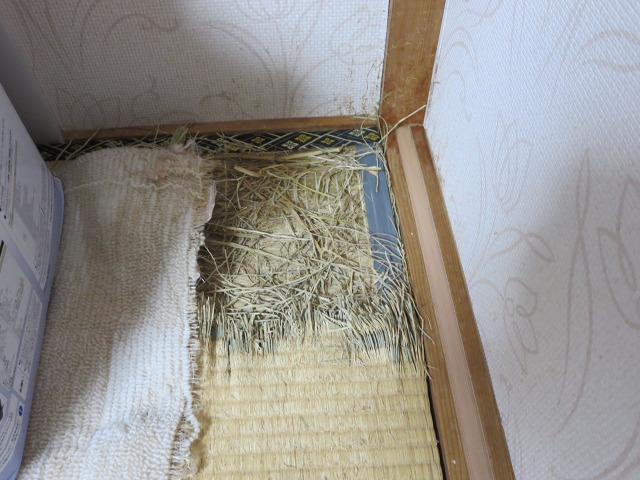 ファイル 91-4.jpg