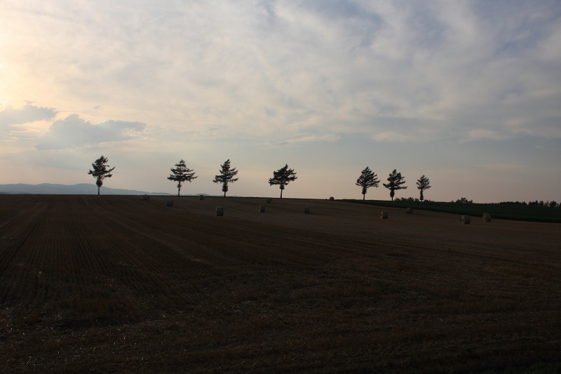 ファイル 92-1.jpg