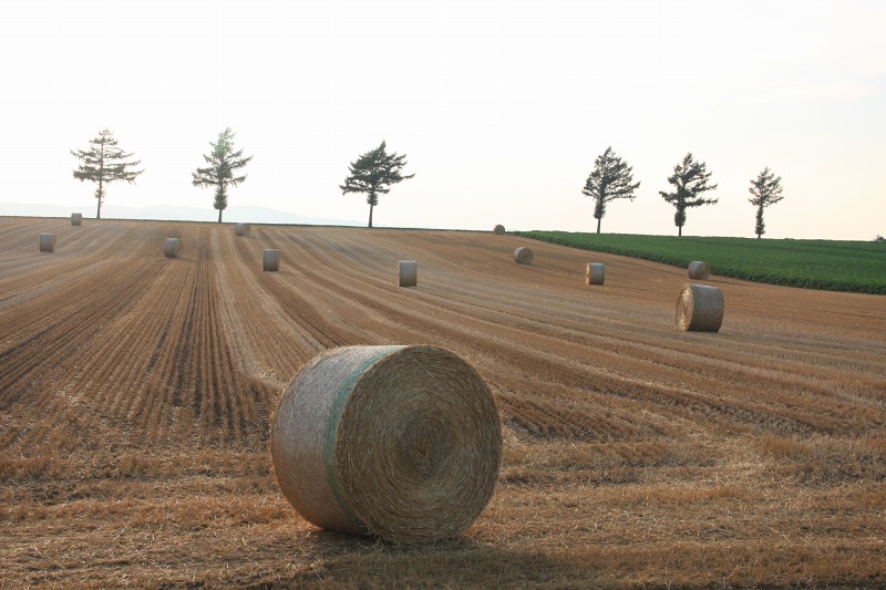 ファイル 92-2.jpg