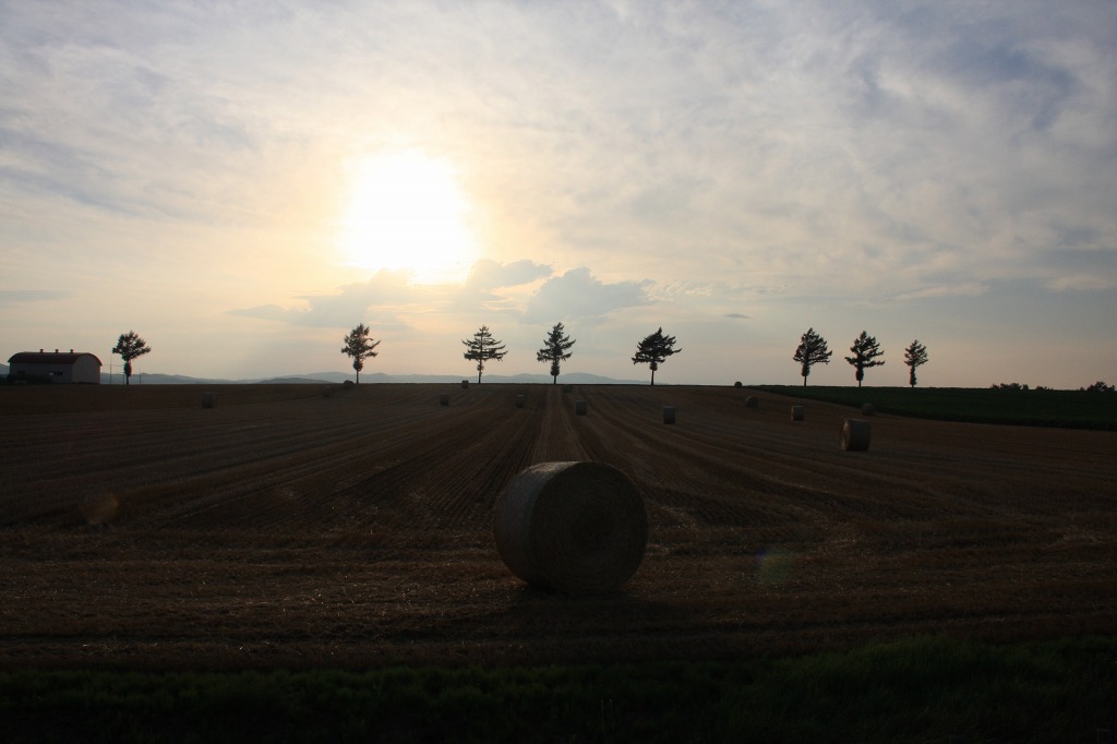 ファイル 92-3.jpg