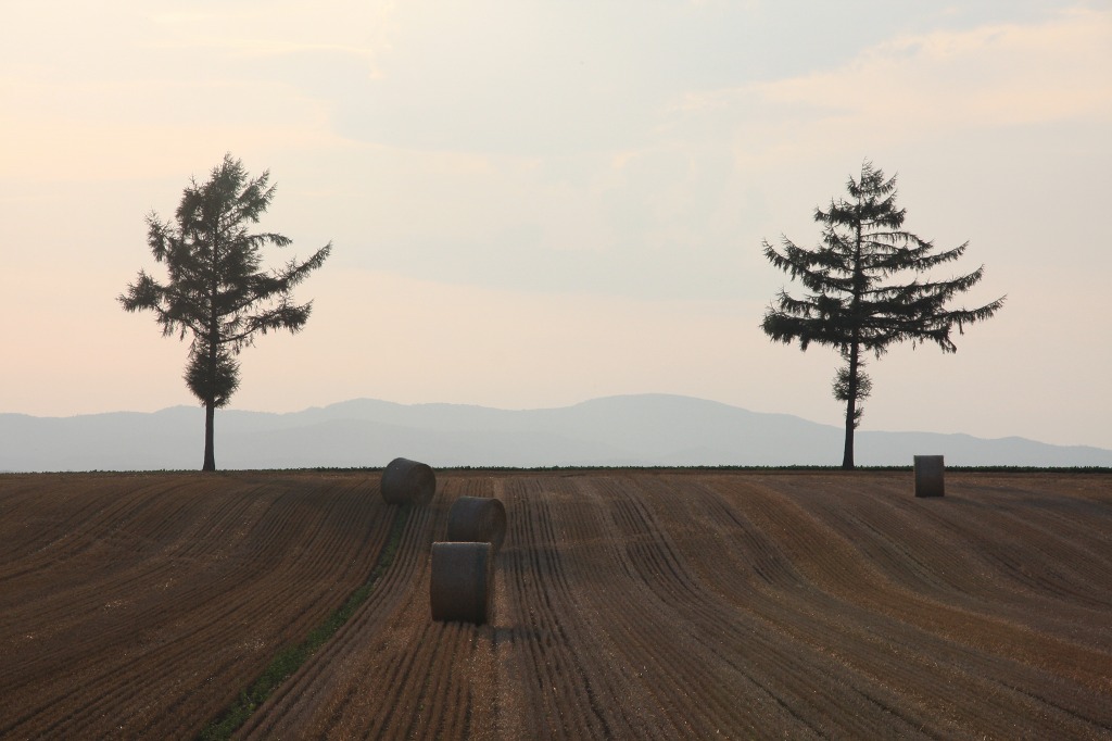 ファイル 92-6.jpg