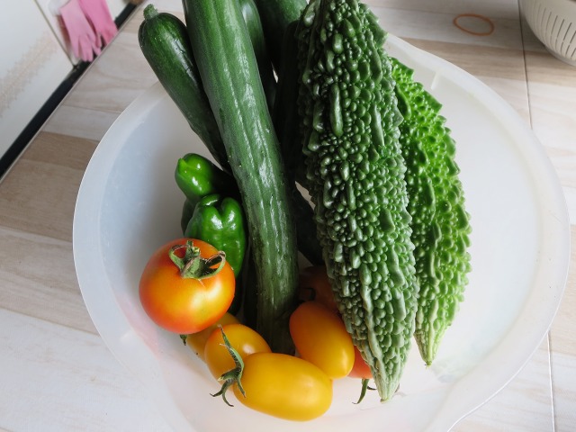 ファイル 92-8.jpg