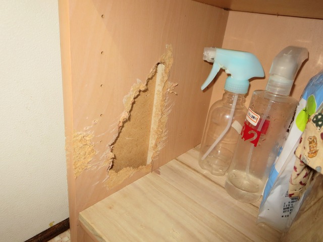 ファイル 93-2.jpg