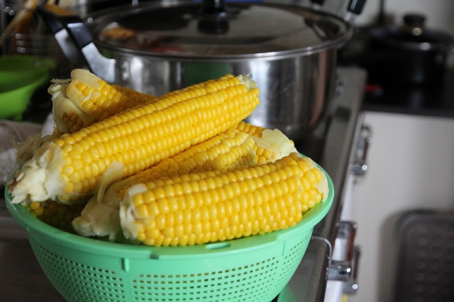 ファイル 95-2.jpg