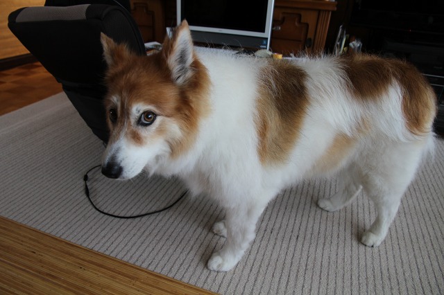 ファイル 95-7.jpg