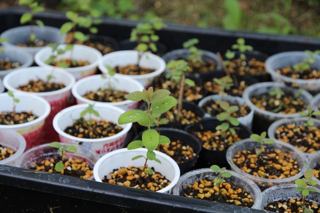 ファイル 95-8.jpg