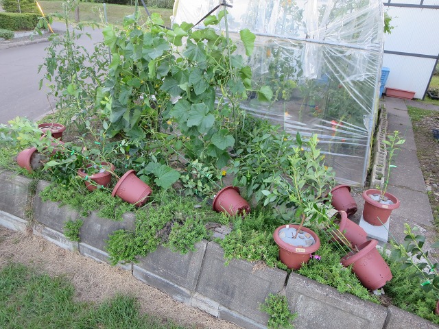 ファイル 97-2.jpg