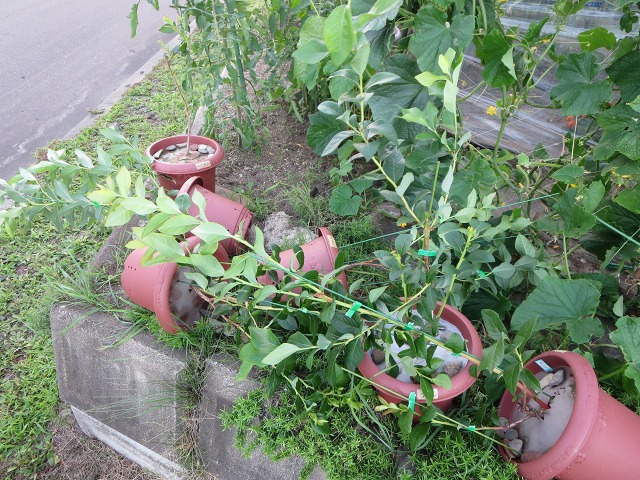 ファイル 97-3.jpg